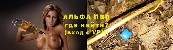 ПСИЛОЦИБИНОВЫЕ ГРИБЫ Белокуриха