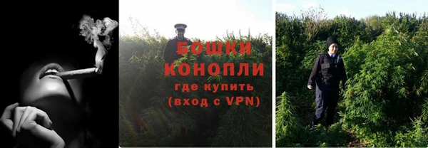 ПСИЛОЦИБИНОВЫЕ ГРИБЫ Белокуриха