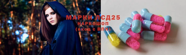 ПСИЛОЦИБИНОВЫЕ ГРИБЫ Белокуриха