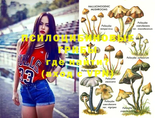 MDMA Беломорск
